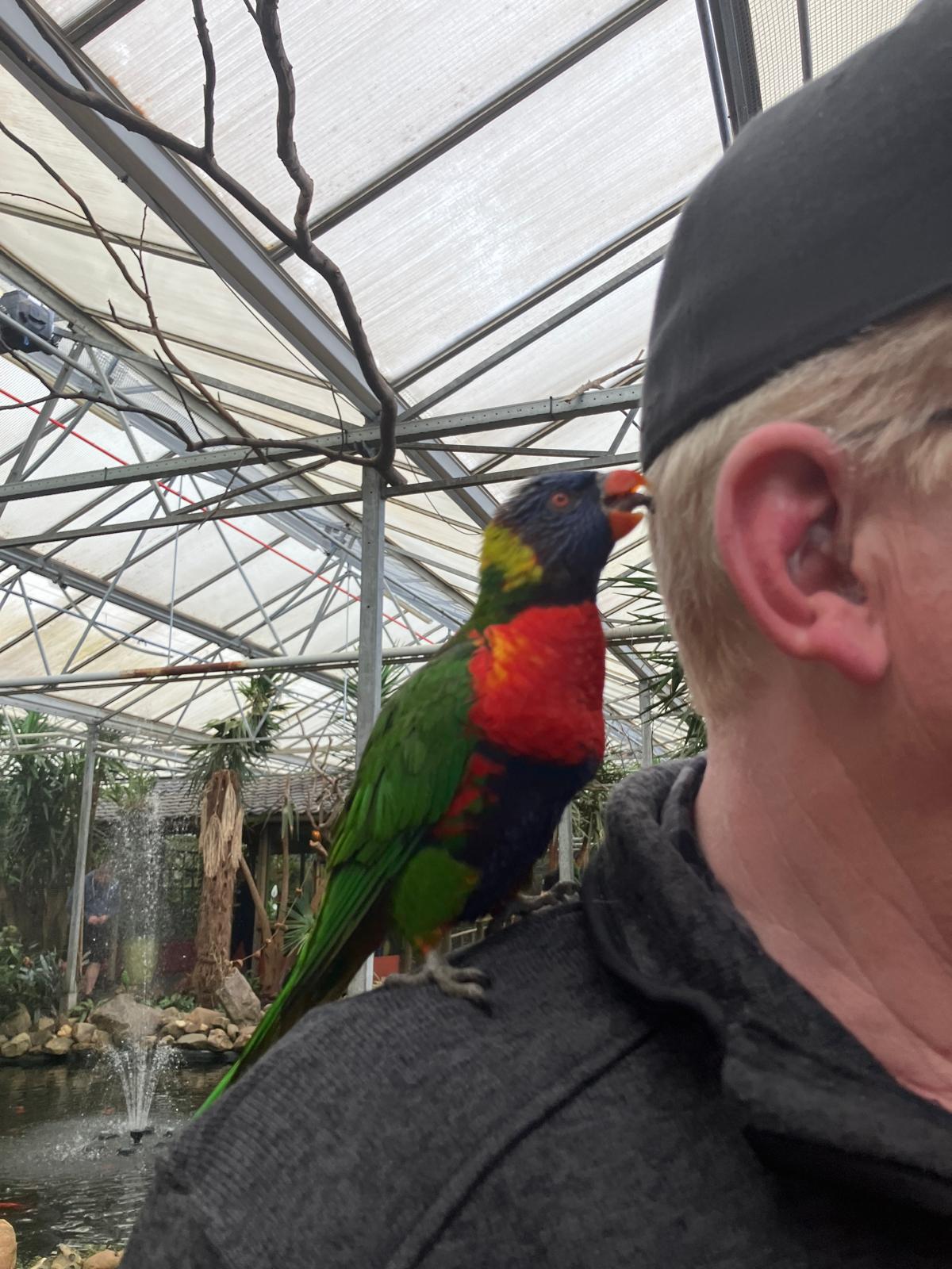 Foto 72 bij artikel "Uitje naar de Orchideenhoeve in Luttelgeest".